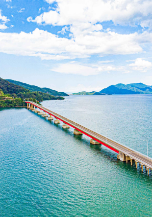 青戸の大橋